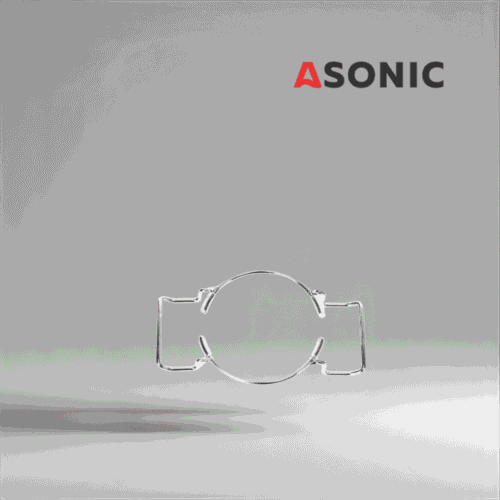 ASONIC laboratoorse puhastusnõu hoidik 0,8 l, väike roostevabast terasest lisaseade täpseks ultraheli puhastamiseks