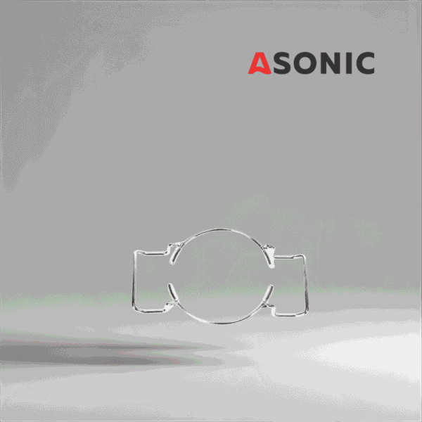 ASONIC laboratoorse puhastusnõu hoidik 0,8 l, väike roostevabast terasest lisaseade täpseks ultraheli puhastamiseks